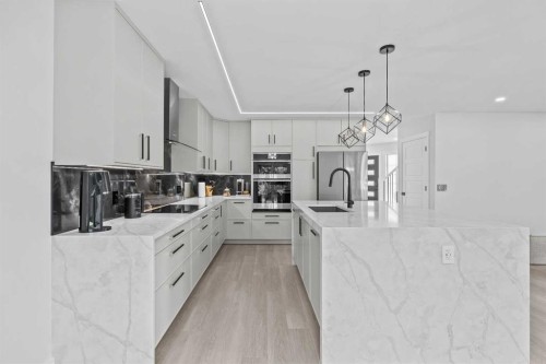 101 Bridlewood Street, Calgary, AB - Indoor Photo Showing Kitchen With Upgraded Kitchen
