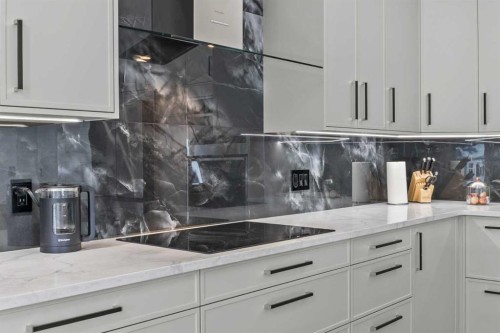 101 Bridlewood Street, Calgary, AB - Indoor Photo Showing Kitchen With Upgraded Kitchen
