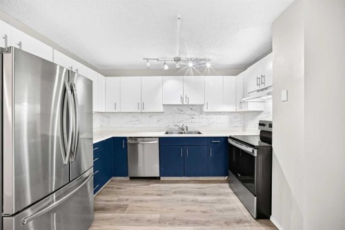 11 Falshire Terrace Ne, Calgary, AB - Indoor Photo Showing Kitchen With Stainless Steel Kitchen With Double Sink With Upgraded Kitchen