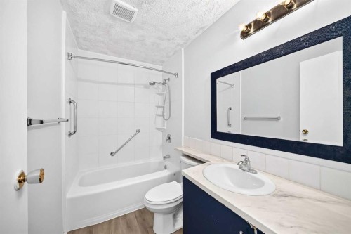 11 Falshire Terrace Ne, Calgary, AB - Indoor Photo Showing Bathroom