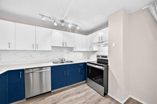 11 Falshire Terrace Ne, Calgary, AB - Indoor Photo Showing Kitchen With Stainless Steel Kitchen With Double Sink