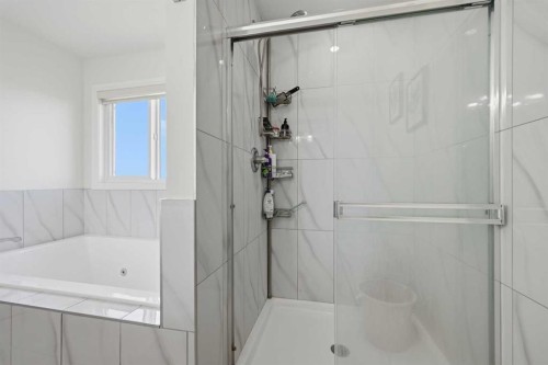 838 Edgefield Street, Strathmore, AB - Indoor Photo Showing Bathroom