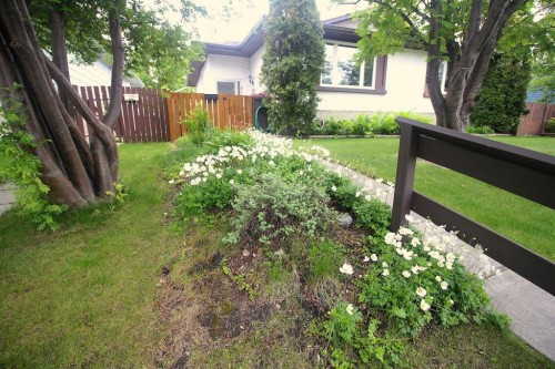 515 Blackthorn Road Ne, Calgary, AB 