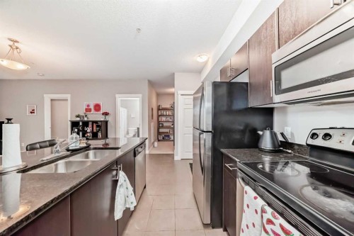 211-3950 46 Avenue Nw, Calgary, AB - Indoor Photo Showing Kitchen With Double Sink