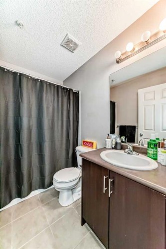 211-3950 46 Avenue Nw, Calgary, AB - Indoor Photo Showing Bathroom