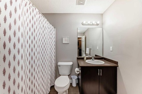211-3950 46 Avenue Nw, Calgary, AB - Indoor Photo Showing Bathroom