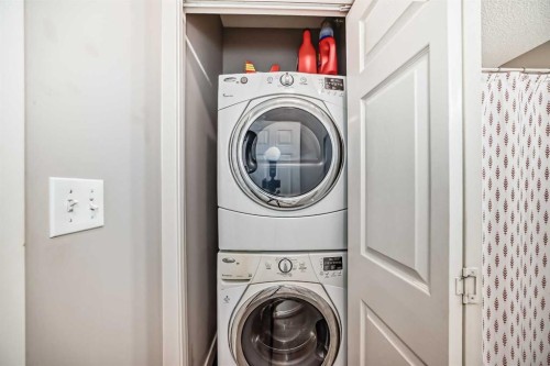 211-3950 46 Avenue Nw, Calgary, AB - Indoor Photo Showing Laundry Room