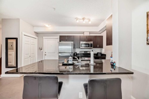 211-3950 46 Avenue Nw, Calgary, AB - Indoor Photo Showing Kitchen With Stainless Steel Kitchen With Upgraded Kitchen