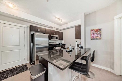 211-3950 46 Avenue Nw, Calgary, AB - Indoor Photo Showing Kitchen With Stainless Steel Kitchen