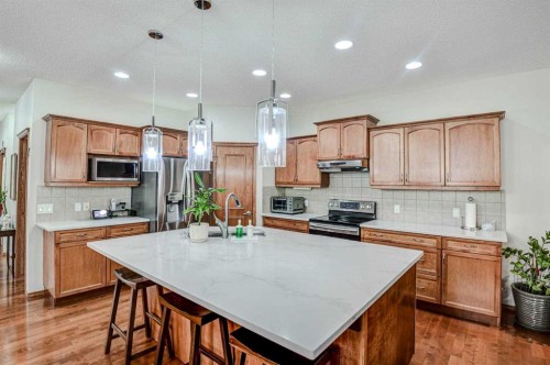 225 Chapala Drive Se, Calgary, AB - Indoor Photo Showing Kitchen With Stainless Steel Kitchen With Upgraded Kitchen