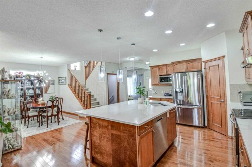 225 Chapala Drive Se, Calgary, AB - Indoor Photo Showing Kitchen With Stainless Steel Kitchen With Upgraded Kitchen