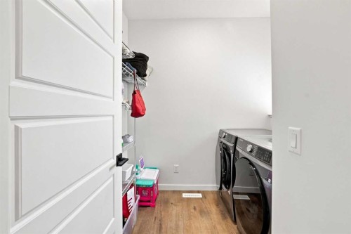 26 Homestead Circle Ne, Calgary, AB - Indoor Photo Showing Laundry Room