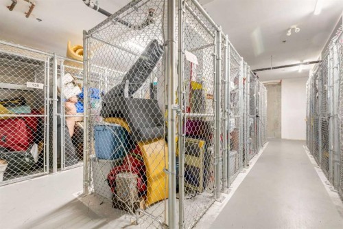 101-532 5 Avenue Ne, Calgary, AB - Indoor With Storage