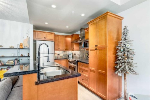 101-532 5 Avenue Ne, Calgary, AB - Indoor Photo Showing Kitchen With Double Sink