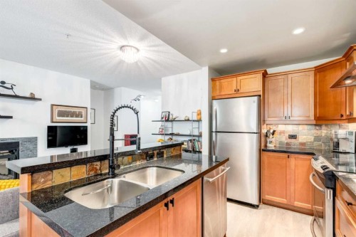 101-532 5 Avenue Ne, Calgary, AB - Indoor Photo Showing Kitchen With Double Sink