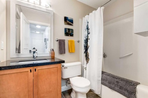 101-532 5 Avenue Ne, Calgary, AB - Indoor Photo Showing Bathroom
