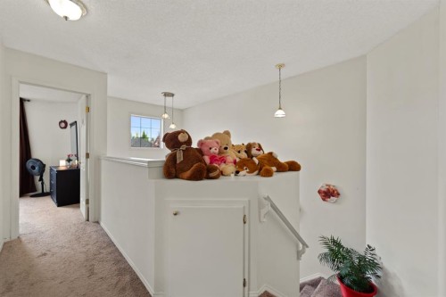 221 Tarington Close Ne, Calgary, AB 