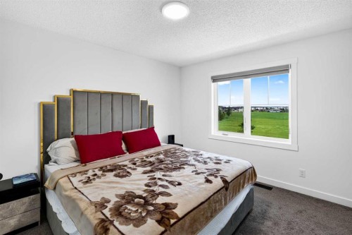 227 Chinook Gate Boulevard Sw, Airdrie, AB - Indoor Photo Showing Bedroom