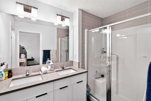 227 Chinook Gate Boulevard Sw, Airdrie, AB - Indoor Photo Showing Bathroom