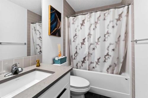 227 Chinook Gate Boulevard Sw, Airdrie, AB - Indoor Photo Showing Bathroom