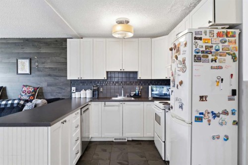 4227 49 Street Ne, Calgary, AB - Indoor Photo Showing Kitchen