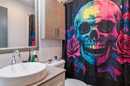 4227 49 Street Ne, Calgary, AB - Indoor Photo Showing Bathroom