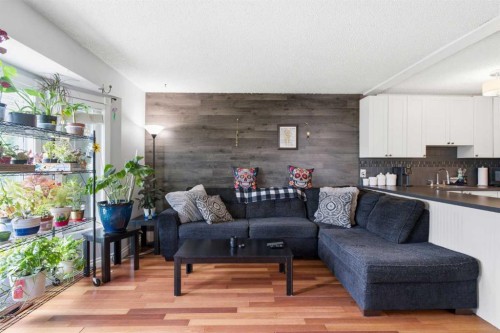 4227 49 Street Ne, Calgary, AB - Indoor Photo Showing Living Room