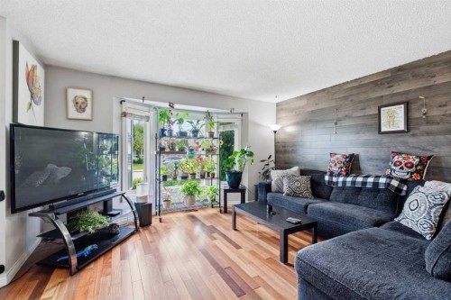 4227 49 Street Ne, Calgary, AB - Indoor Photo Showing Living Room