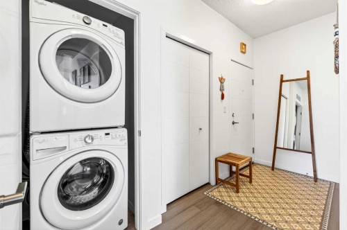 501-122 Mahogany Centre Se, Calgary, AB - Indoor Photo Showing Laundry Room