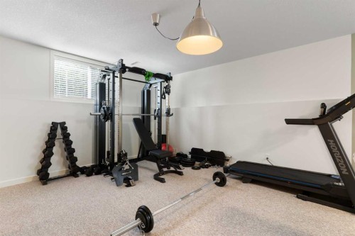 36 Jensen Heights Place Ne, Airdrie, AB - Indoor Photo Showing Gym Room