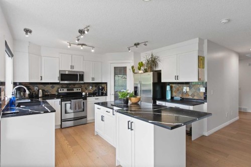 81 Royal Crest Terrace Nw, Calgary, AB - Indoor Photo Showing Kitchen With Upgraded Kitchen