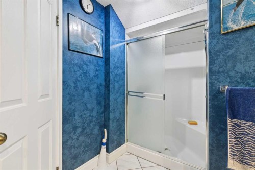 85 Mt Douglas Circle Se, Calgary, AB - Indoor Photo Showing Bathroom