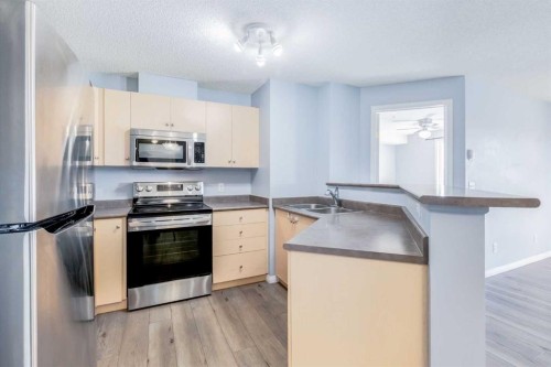 1319-8810 Royal Birch Boulevard Nw, Calgary, AB - Indoor Photo Showing Kitchen With Double Sink