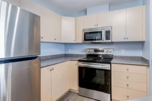 1319-8810 Royal Birch Boulevard Nw, Calgary, AB - Indoor Photo Showing Kitchen