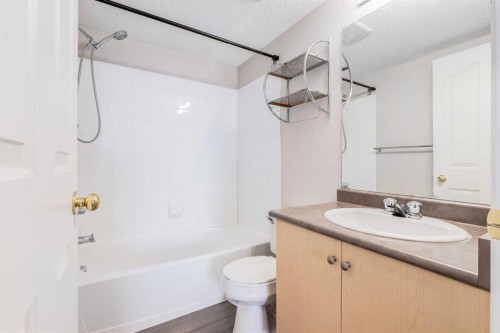 1319-8810 Royal Birch Boulevard Nw, Calgary, AB - Indoor Photo Showing Bathroom