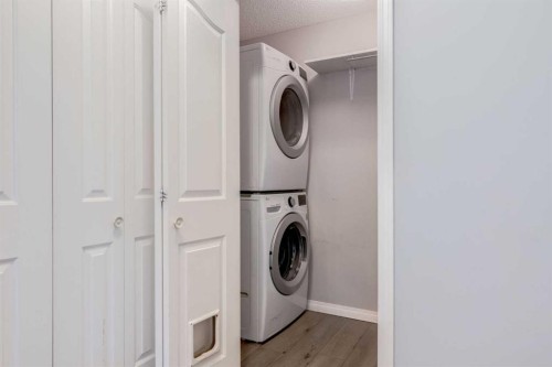 1319-8810 Royal Birch Boulevard Nw, Calgary, AB - Indoor Photo Showing Laundry Room
