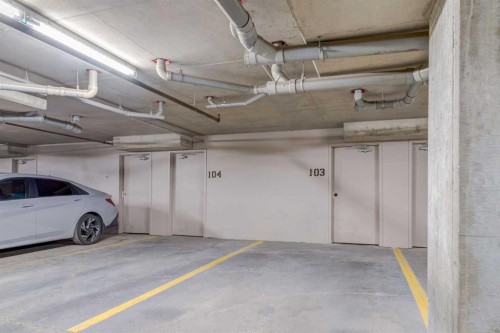 1319-8810 Royal Birch Boulevard Nw, Calgary, AB - Indoor Photo Showing Garage