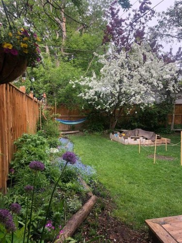 1422 2 Street Nw, Calgary, AB - Outdoor With Backyard