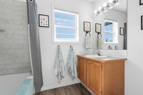 71 Royal Birch Manor Nw, Calgary, AB - Indoor Photo Showing Bathroom