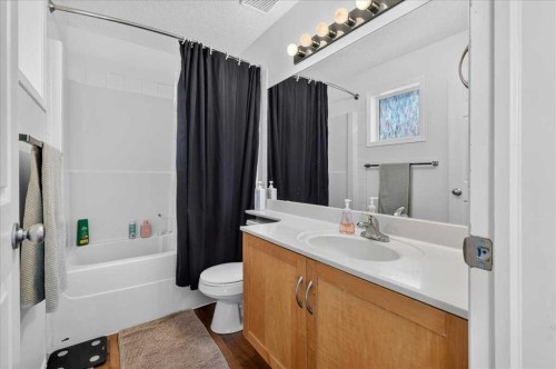 137 Bridlewood Lane Sw, Calgary, AB - Indoor Photo Showing Bathroom