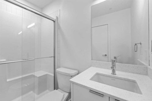 1114-8500 19 Avenue Se, Calgary, AB - Indoor Photo Showing Bathroom