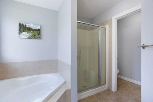 1925 Luxstone Park Sw, Airdrie, AB - Indoor Photo Showing Bathroom