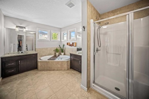 53 Heritage Drive, Cochrane, AB - Indoor Photo Showing Bathroom