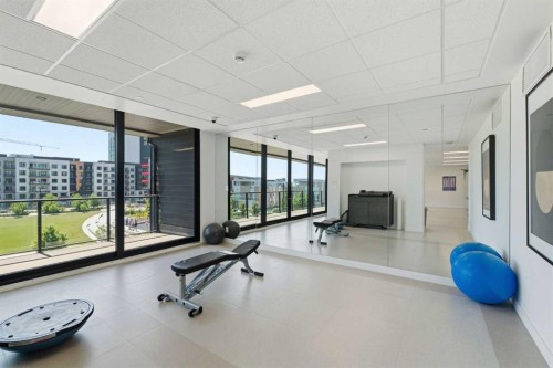 301-105 Lebel Crescent Nw, Calgary, AB - Indoor Photo Showing Gym Room