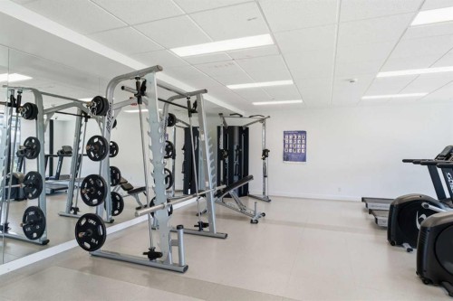 301-105 Lebel Crescent Nw, Calgary, AB - Indoor Photo Showing Gym Room