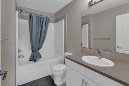 311 Sunrise View, Cochrane, AB - Indoor Photo Showing Bathroom