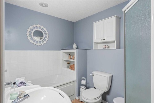 39 West Terrace Crescent, Cochrane, AB - Indoor Photo Showing Bathroom