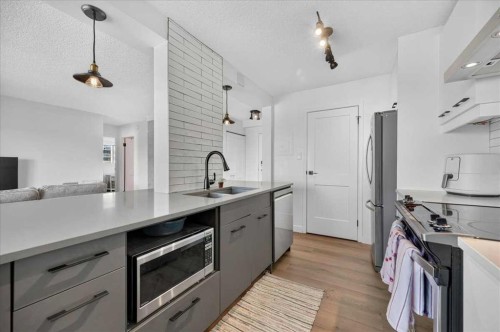 902-1330 15 Avenue Sw, Calgary, AB - Indoor Photo Showing Kitchen With Double Sink With Upgraded Kitchen