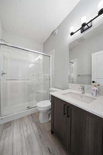 623 Savanna Crescent Ne, Calgary, AB - Indoor Photo Showing Bathroom