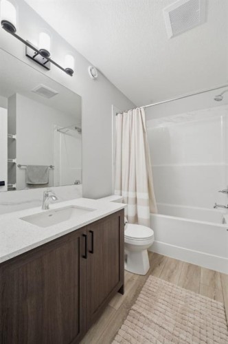 623 Savanna Crescent Ne, Calgary, AB - Indoor Photo Showing Bathroom